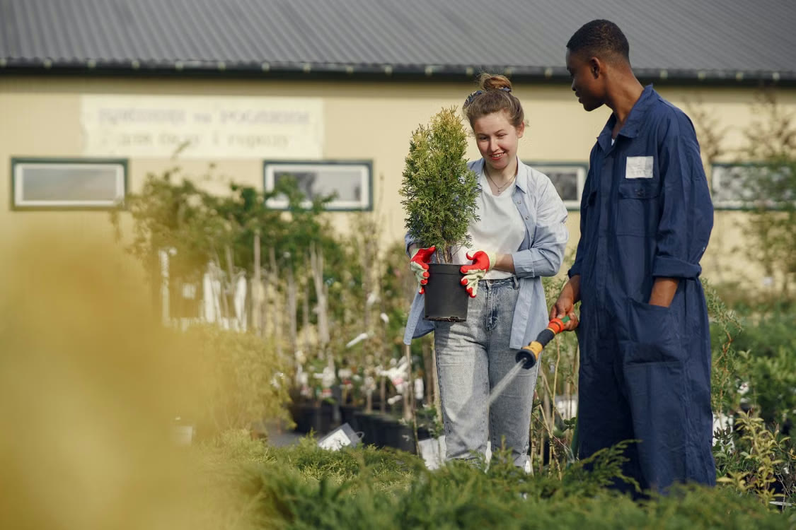 Volunteers potting plants at a community garden